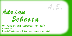 adrian sebesta business card